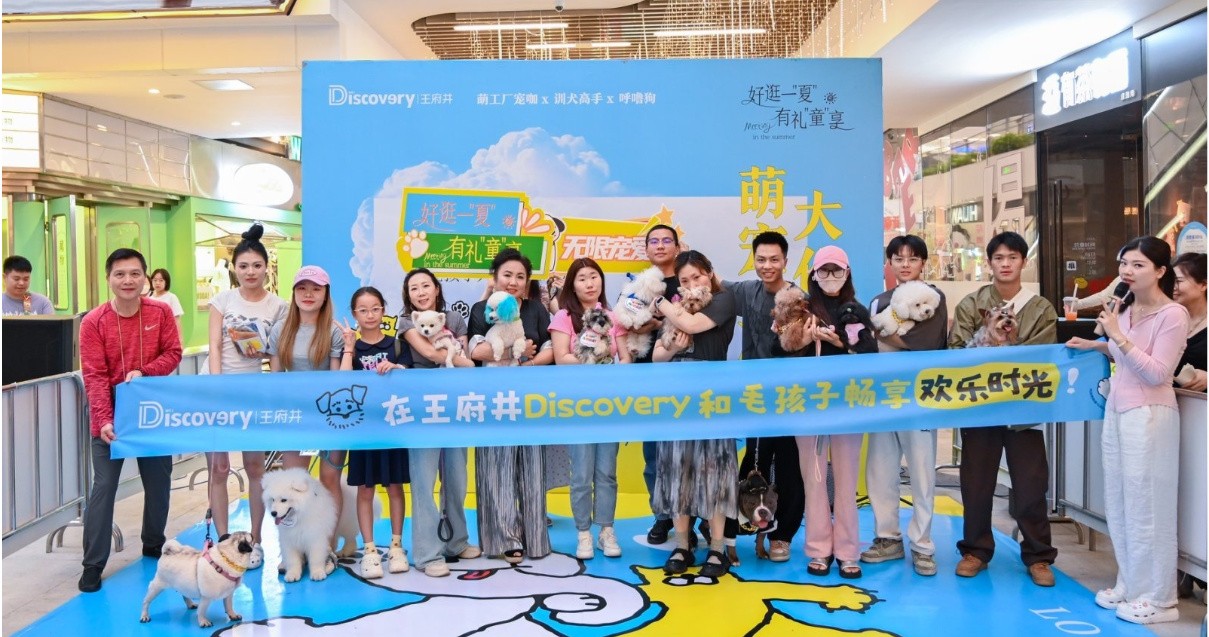 成都ga黄金甲平台Discovery