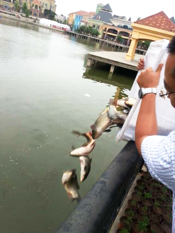 GA�ƽ�׹���-׷�󿵽�,����һ������