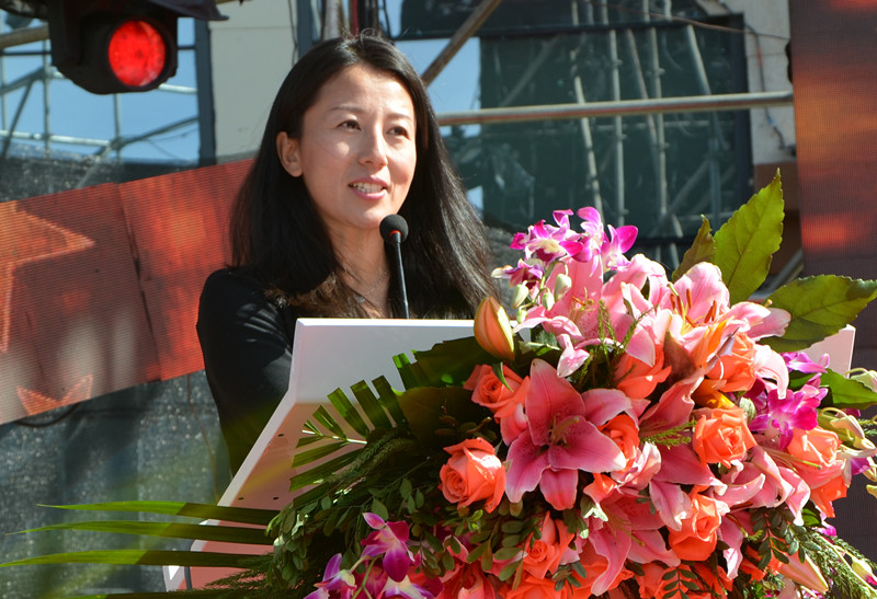 GA�ƽ�׹���-׷�󿵽�,����һ������