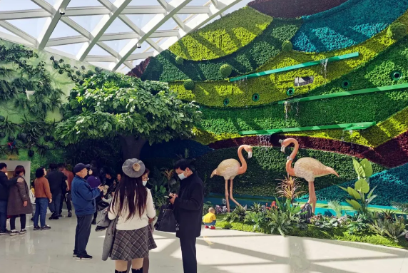 GA�ƽ�׹���-׷�󿵽�,����һ������