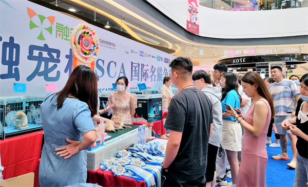 GA�ƽ�׹���-׷�󿵽�,����һ������