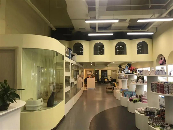 GA�ƽ�׹���-׷�󿵽�,����һ������