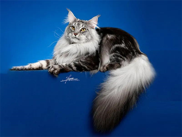 GA�ƽ�׹���-׷�󿵽�,����һ������