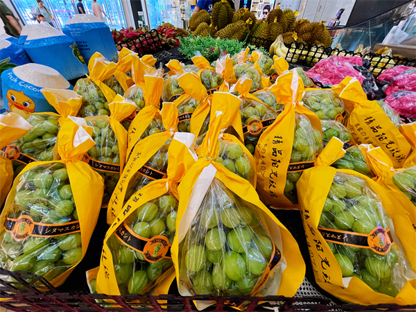 GA�ƽ�׹���-׷�󿵽�,����һ������