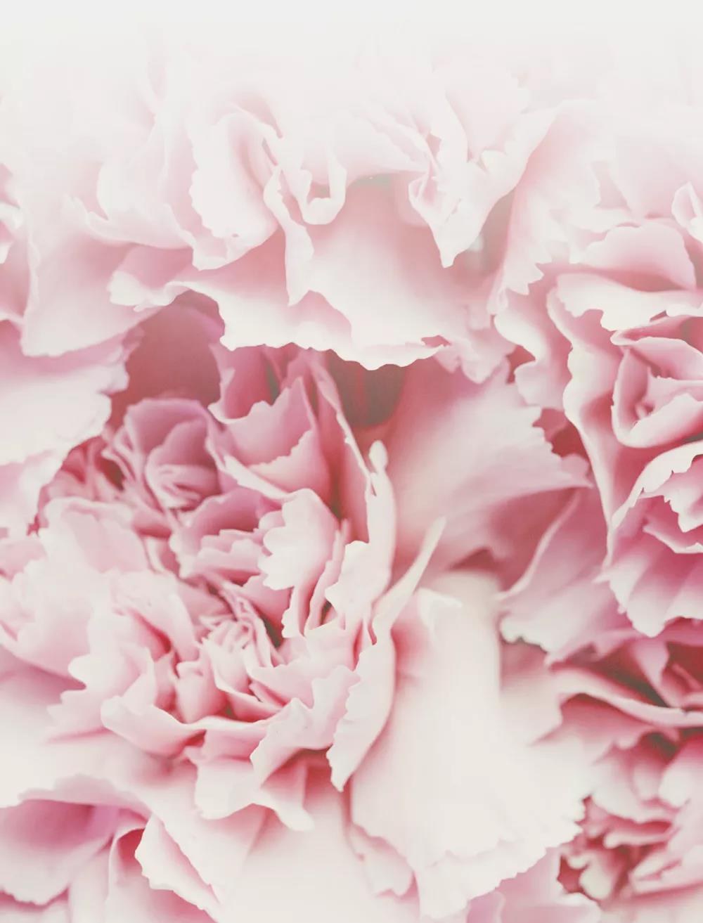 GA�ƽ�׹���-׷�󿵽�,����һ������