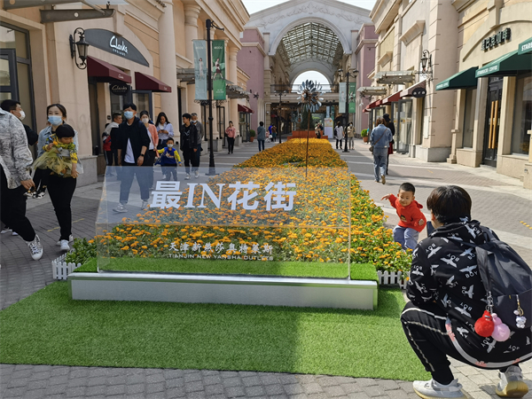 GA�ƽ�׹���-׷�󿵽�,����һ������